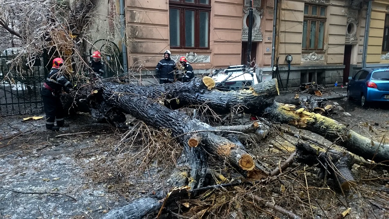 41 de copaci căzuţi în Bucureşti până la această oră şi 32 de maşini avariate
