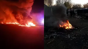 Comisari de mediu atacaţi cu furci. Tánczos Barna: pentru aşa ceva nu trebuie să existe clemenţă. Să plătească cu libertatea