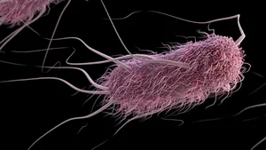 Una din șase infecții bacteriene este acum rezistentă la antibiotice