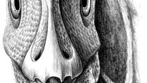 Oamenii de ştiinţă au făcut o descoperire uimitoare la o specie de dinozaur găsită în România