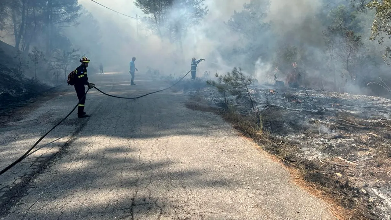 Pompierii români intervin joi pentru localizarea incendiilor de pădure din zona Dadia, Grecia