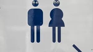 Decizie: Utilizarea toaletelor la job, în magazine și spitale trebuie să se bazeze pe sexul biologic