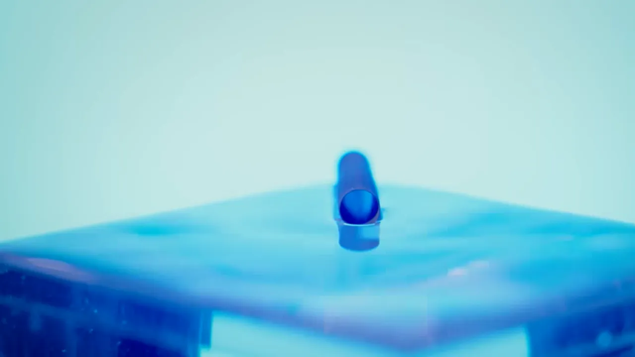 Tehnologia inspirată din natură care ar putea face navele „nescufundabile”