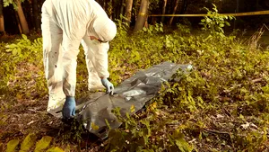 A fost raportat primul caz de COVID-19 luat de la un cadavru