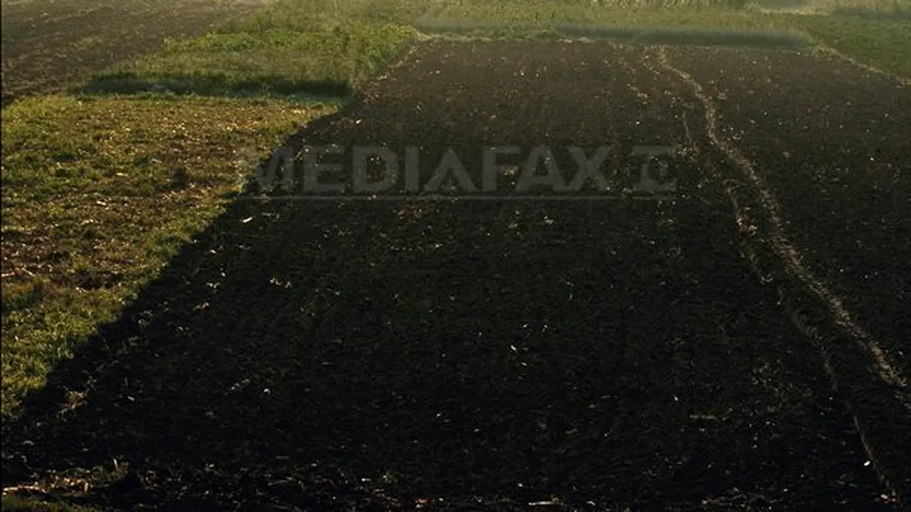 Termenul de depunere a proiectelor pentru modernizarea exploataţiilor agricole, amânat cu trei luni