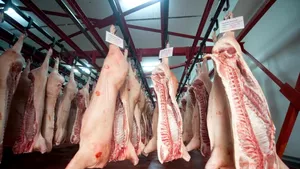 Mai multă carne de porc românesc în marile supermarketuri. Abatorul Periș, vizitat de ministrul Agriculturii 