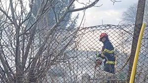 Incendiu într-un cimitir din Botoșani pornit de la o lumânare