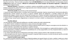 Finalizarea proiectului