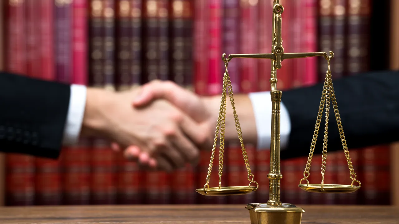 Ambasada Germaniei: La noi, abuzul în serviciu e reglementat în legile fiscale şi Codul Penal