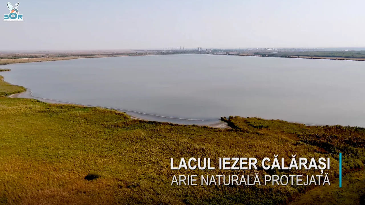 VIDEO Catastrofă ecologică, anunţată de Societatea Ornitologică: Lacul Iezer din Călăraşi a secat în mai puţin de trei luni