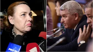 Nou scandal la audieri. Florin Roman a criticat-o dur pe Carmen Dan: Aţi dat ordin să fie bătuţi românii. O sa ajungeţi lângă Dragnea