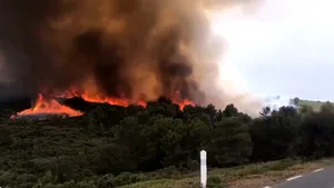 VIDEO Incendiu puternic de vegetaţie în Franţa. Au ars peste 100 de hectare