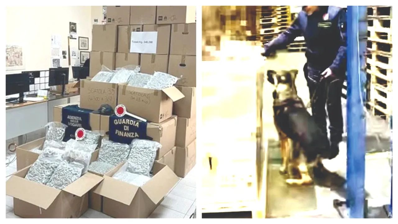 Lovitură de knock-out pentru canalele internaționale de trafic de droguri / Bulgar arestat în Italia după ce a fost găsit cu marijuana de 2 milioane de euro în camion