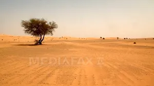 Niger: Cel puţin 34 de cadavre ale unor imigranţi, inclusiv 20 de copii, găsite în deşert