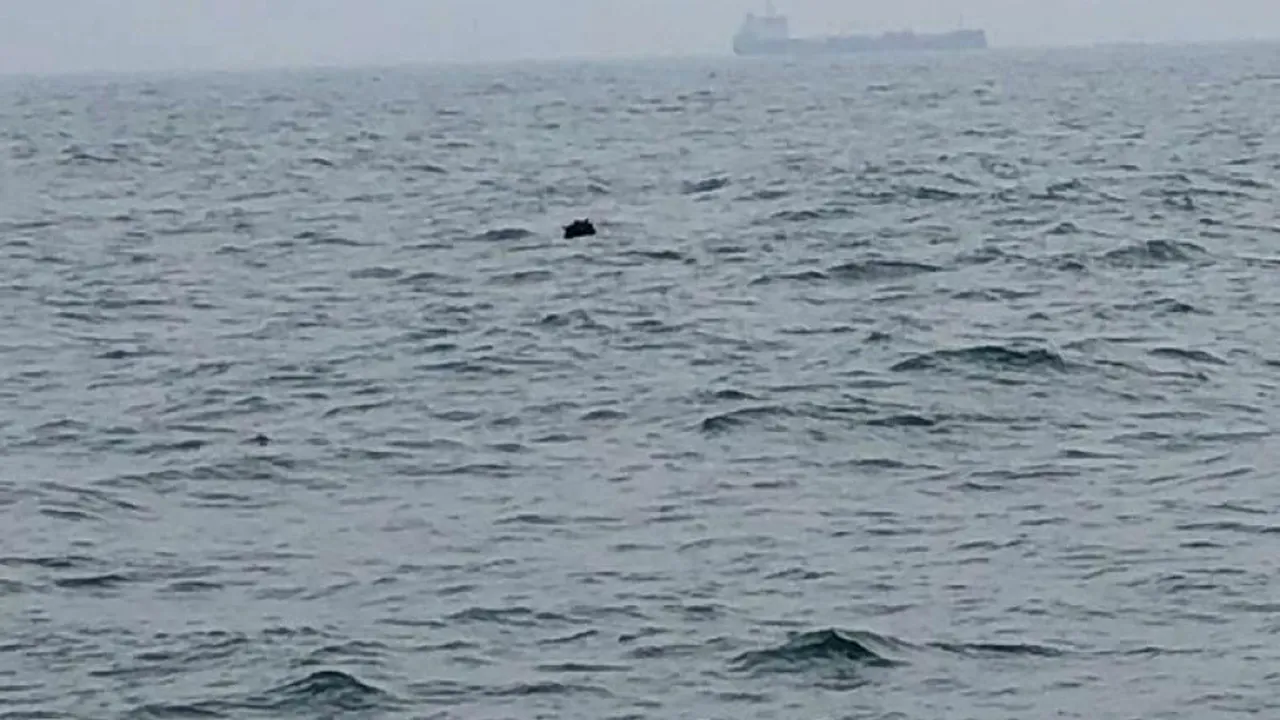 Mină marină, observată în largul Mării Negre, la 20 de kilometri de Sulina
