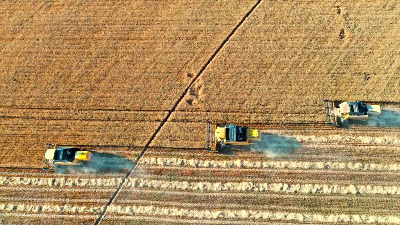 Războiul de la Marea Neagră amenință din nou prețul pâinii. Grâul s-a scumpit cu aproape 6% într-o lună, iar navele sunt împinse spre Constanța