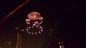 Reportaj: Mii de oameni au venit la spectacolul şi focul de artificii care au încheiat FITS 2016 - GALERIE FOTO & VIDEO 