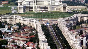 Bucureştiul nu mai are contract de dezinsecţie şi deratizare, existând riscul unei epidemii