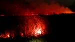 Firmă amendată cu 100.000 de lei pentru incendierea vegetației în Delta Dunării