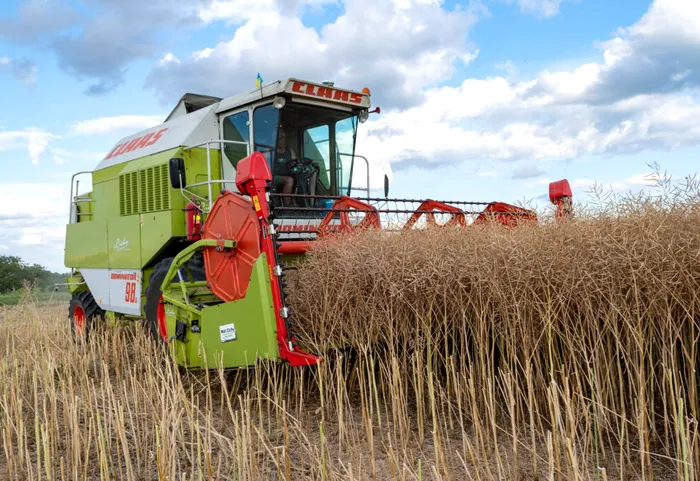 STATISTICĂ România, statul UE cu cei mai mulți lucrători în agricultură