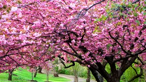 Vremea de Paşte. Vezi prognoza până miercuri