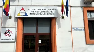 ANRE aprobă un mecanism prin care consumatorii pot fi plătiți pentru a-și reduce voluntar consumul de energie. Cum funcționează serviciul de flexibilitate a consumului