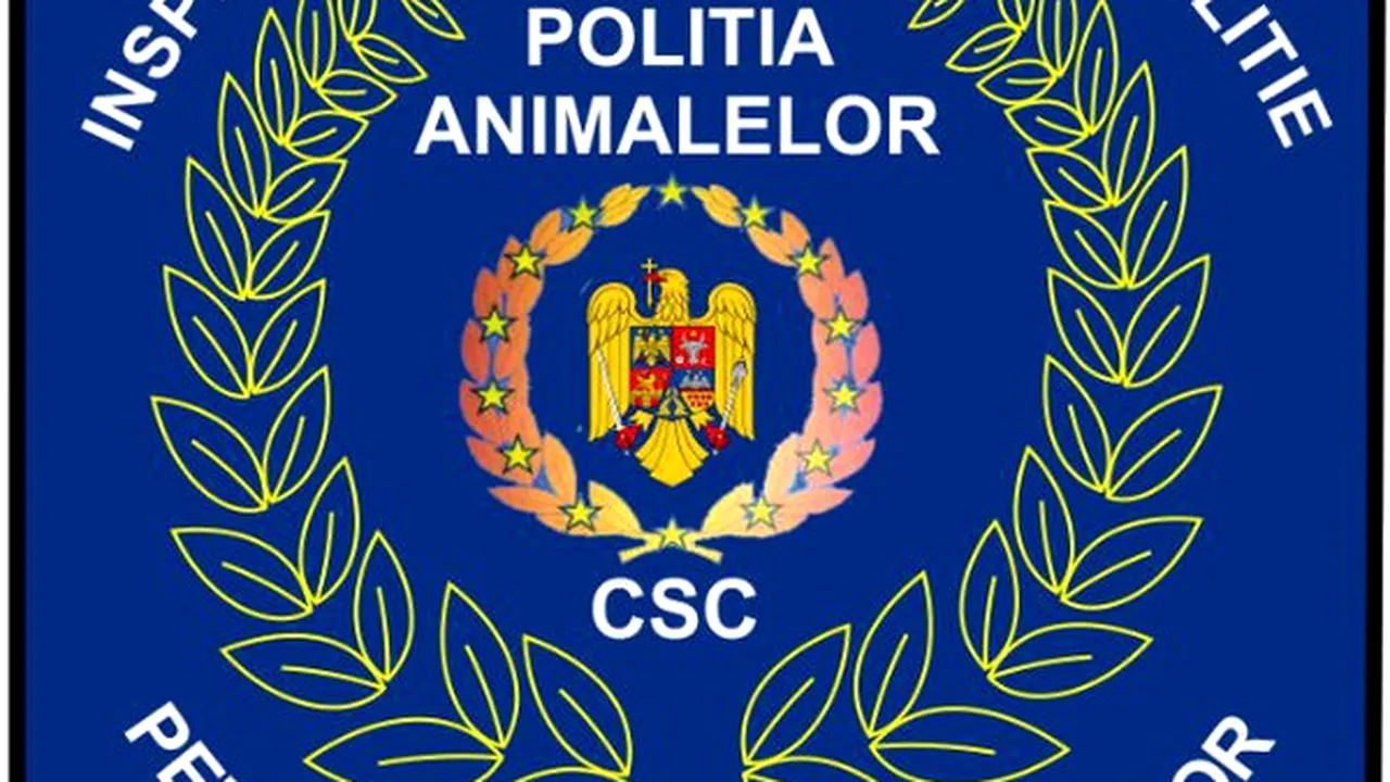 Anchetă la Dolj, după ce un câine a fost aruncat în fântână