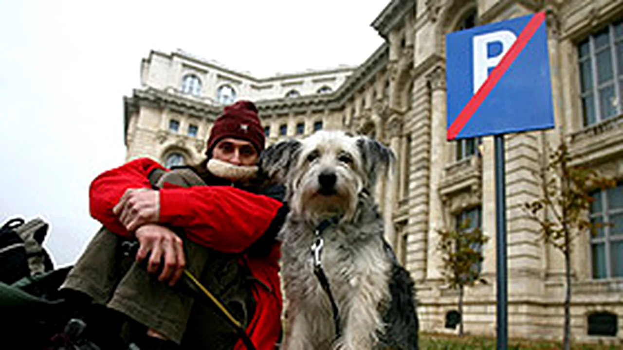 Romanian Senators Unanimously Enact Animal Protection Law