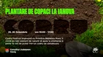 Comunicat de presă