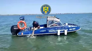 Braconaj în Marea Neagră: Un delfin și opt sturioni prinşi în plasele ilegale, eliberaţi in mediul natural
