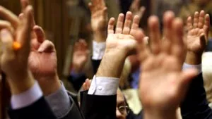 Romanian Senate Sets Its ‘09 Budget At RON120,582,000
