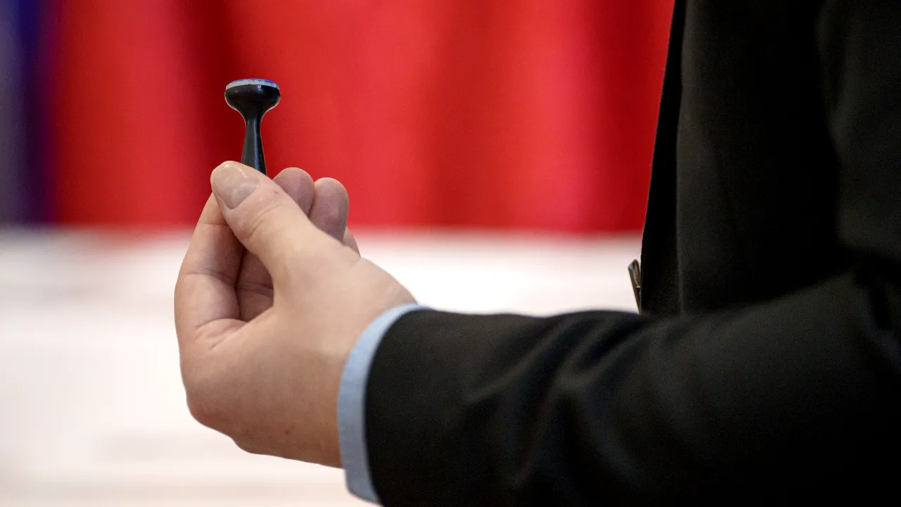 Alegeri parlamentare 2024. Rezultate finale în judeţul Arad. Cu cine au votat arădenii