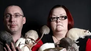 Un cuplu englez creşte 28 de şobolani în propria casă