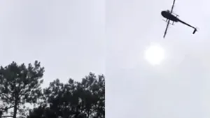 Momentul în care un porc este lansat din elicopter în piscina unui milionar. VIDEO