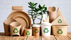 Farfurii de unică folosinţă, biodegradabile, de vânzare online - furnizorii au oferte fel de fel (P)