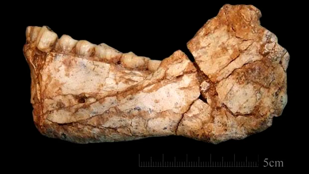 FOTO Au fost descoperite cele mai vechi fosile de Homo sapiens. TEORIA care zguduie din temelii istoria omenirii