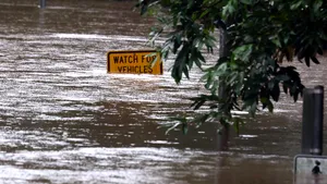 Orașele trebuie să arate că sunt pregătite pentru șocurile climatice pentru a-și menține atractivitatea