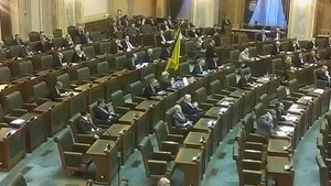 Cristiana Anghel, după ce i-a căzut în cap un steag oferit de Ilie Năstase: Eu am ca pisica nouă vieţi - VIDEO