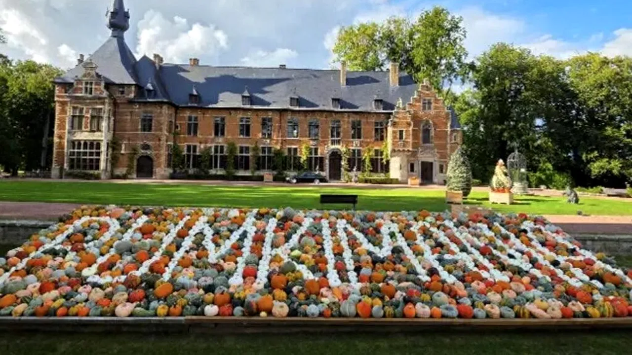Un dovleac cât o mașină mică, vedeta unui festival din Belgia. Cântărește 772 de kilograme