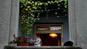 Bucureştenii au o lună la dispoziţie să-şi decoreze balconul: Premii de 214.000 de lei la concursul 