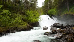Trump vrea să sape după petrol şi gaze în ecosistemele neatinse din Alaska 