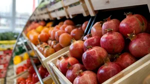 Cum văd românii sustenabilitatea? Cele mai căutate produse sustenabile cumpărate de români