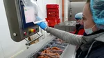 California scrie istorie. Este primul stat din SUA care interzice prin lege alimentele ultraprocesate
