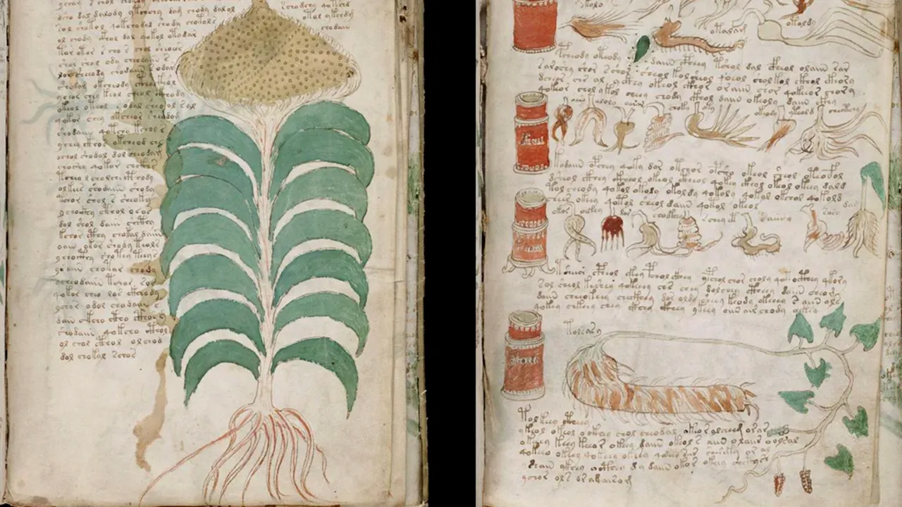 Misteriosul Manuscris Voynich, readus în prim-plan de un nou studiu