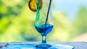 Aprobarea UE este tot mai aproape pentru un nou colorant alimentar albastru extras din microalge