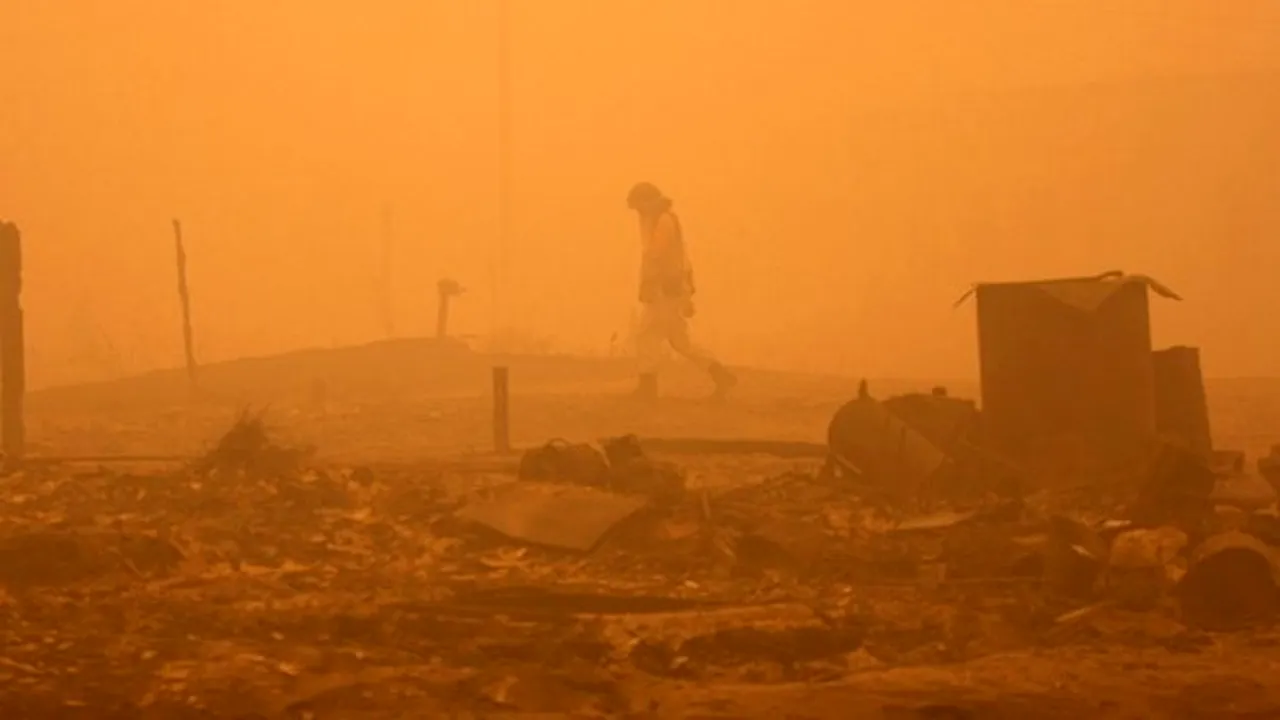 Particulele nucleare rezultate după incendiile din zonele contaminate nu sunt periculoase