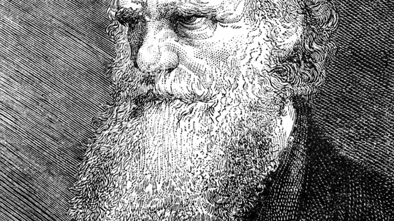 Impresionanta bibliotecă a lui Charles Darwin a fost reasamblată pentru prima dată de la moartea sa