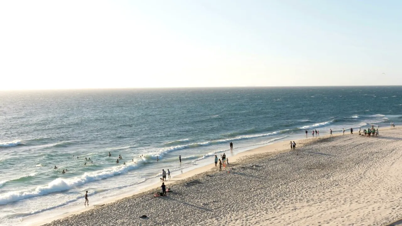 Atacuri ale rechinilor în Australia. Mai mulți bărbați, dar și copii, mușcați