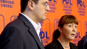 Macovei: Propunerile noastre, legate de politica de cadre şi clarificarea relaţiei politică-afaceri