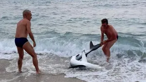 Rechin scos din mare pentru selfie-uri: furia activiştilor pentru drepturile animalelor i-au salvat pielea
